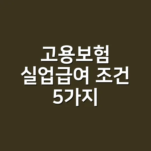 고용보험 실업급여 조건 5가지, 2026년에 탈락하는 지점부터 확인하세요 - 요약