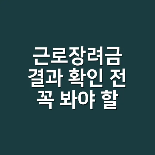 근로장려금 결과 확인 전 꼭 봐야 할 5가지 탈락·감액 기준 - 요약