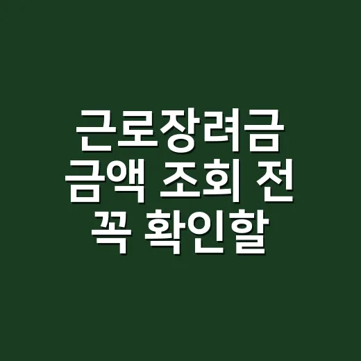 근로장려금 금액 조회 전 꼭 확인할 5가지 기준 - 요약