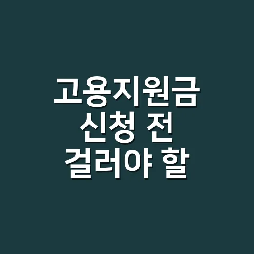 고용지원금 신청 전 걸러야 할 7가지 조건 - 요약