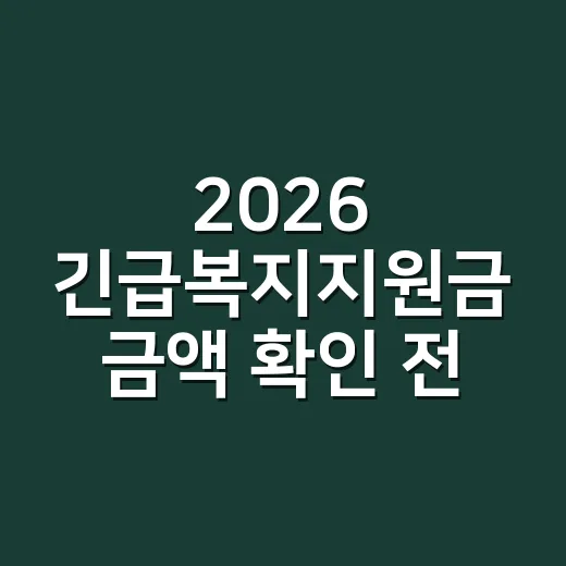 2026 긴급복지지원금 금액 확인 전 놓치면 탈락하는 5가지 기준 - 요약