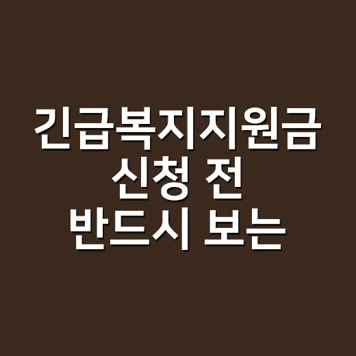 긴급복지지원금 신청 전 반드시 보는 5가지 탈락 조건 - 요약
