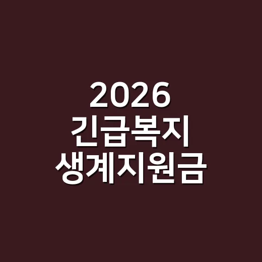 2026 긴급복지 생계지원금 탈락을 피하는 5가지 확인 기준 - 요약