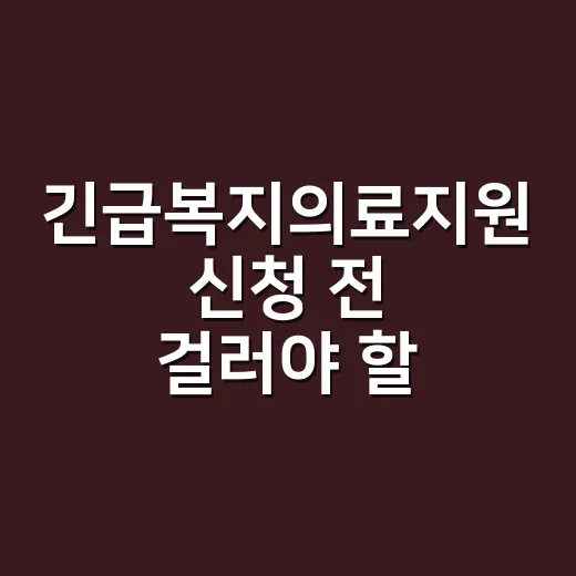 긴급복지의료지원 신청 전 걸러야 할 7가지 조건 - 요약