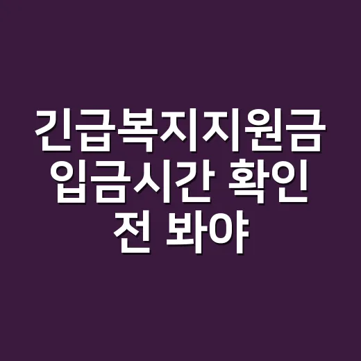 긴급복지지원금 입금시간 확인 전 봐야 할 5가지 - 요약
