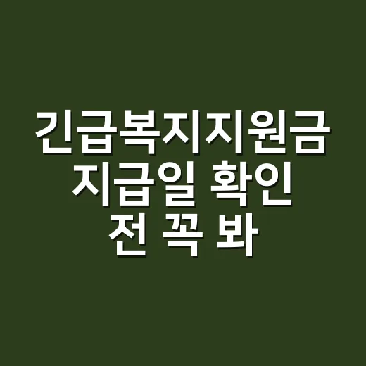 긴급복지지원금 지급일 확인 전 꼭 봐야 할 5가지 - 요약