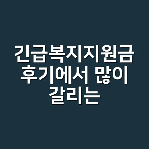 긴급복지지원금 후기에서 많이 갈리는 5가지 탈락 조건 - 요약