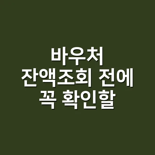 바우처 잔액조회 전에 꼭 확인할 5가지 - 요약