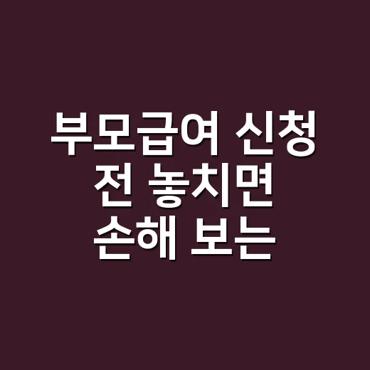 부모급여 신청 전 놓치면 손해 보는 5가지 조건 - 요약
