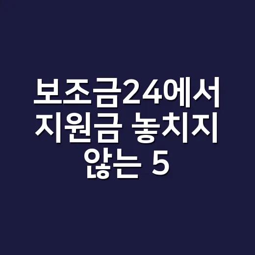 보조금24에서 지원금 놓치지 않는 5가지 확인법 - 요약