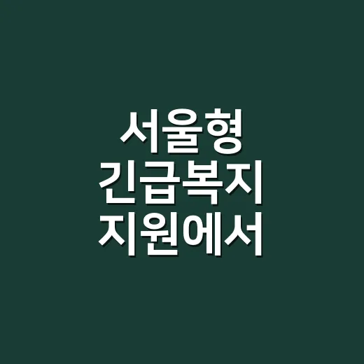 서울형 긴급복지 지원에서 탈락하기 쉬운 5가지 기준