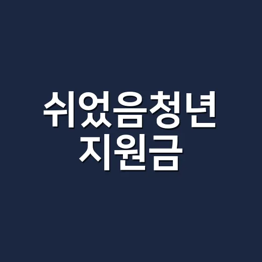쉬었음청년 지원금,…