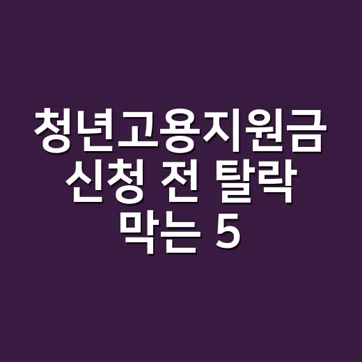 청년고용지원금 신청 전 탈락 막는 5가지 체크포인트 - 요약