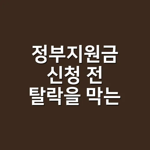 정부지원금 신청 전 탈락을 막는 7가지 확인법 - 요약