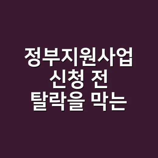정부지원사업 신청 전 탈락을 막는 5가지 확인법 - 요약