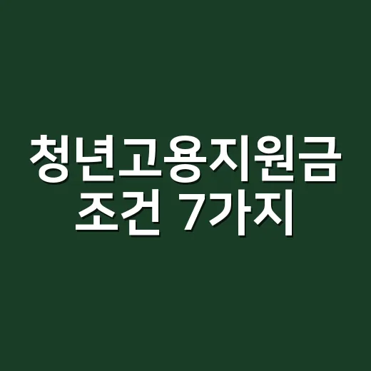 청년고용지원금 조건 7가지, 신청 전에 탈락 사유부터 확인하세요 - 요약