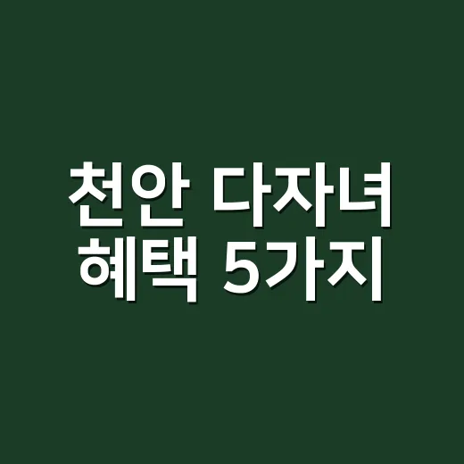 천안 다자녀 혜택 5가지, 2자녀도 놓치면 손해 보는 조건 - 요약