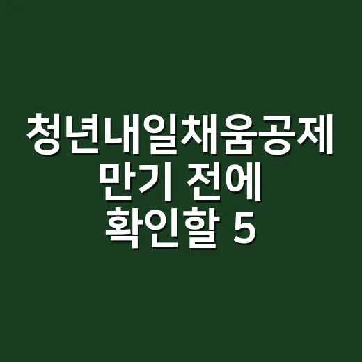 청년내일채움공제 만기 전에 확인할 5가지 조건 - 요약