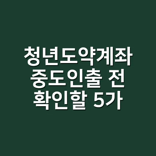 청년도약계좌 중도인출 전 확인할 5가지 조건 - 요약