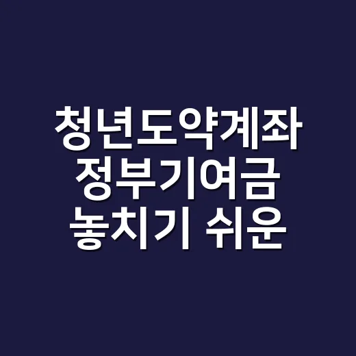 청년도약계좌 정부기여금 놓치기 쉬운 5가지 기준 - 요약