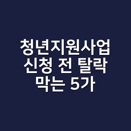 청년지원사업 신청 전 탈락 막는 5가지 확인법 - 요약