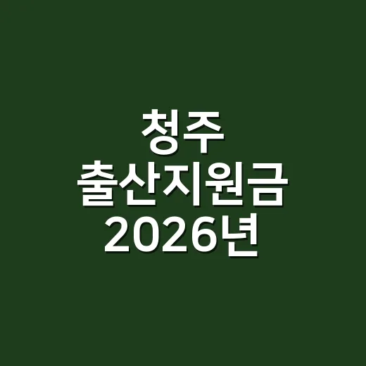 청주 출산지원금 2026년 기준 꼭 확인할 5가지 - 요약