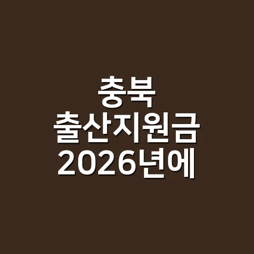 충북 출산지원금 2026년에 놓치기 쉬운 5가지 조건 - 요약