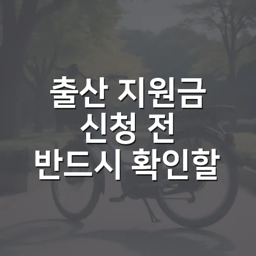 출산 지원금 신청 전 반드시 확인할 7가지 조건 - 요약