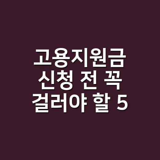 고용지원금 신청 전 꼭 걸러야 할 5가지 조건 - 요약