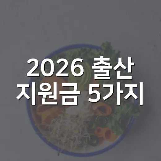 2026 출산 지원금 5가지, 신청 전 꼭 걸러야 할 조건 - 요약