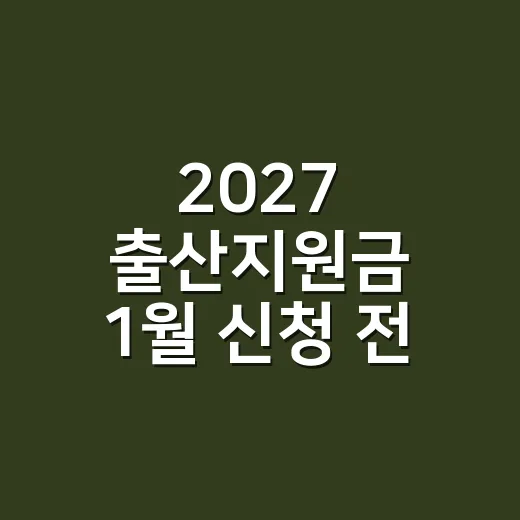 2027 출산지원금 1월 신청 전 확인할 4가지 - 요약