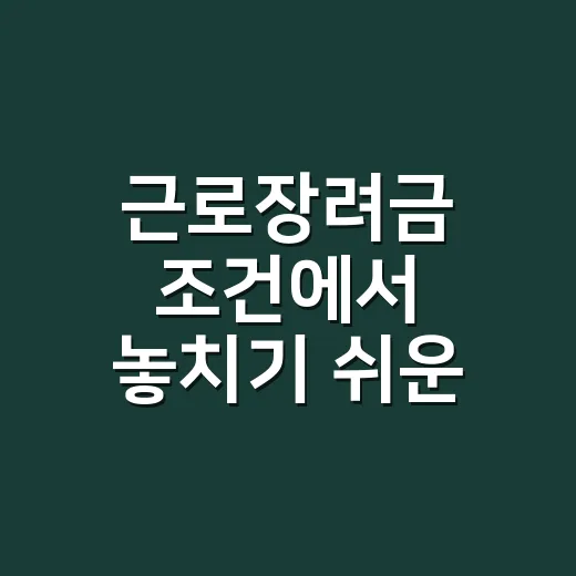 근로장려금 조건에서 놓치기 쉬운 5가지 - 요약