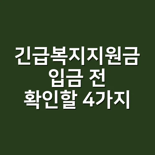 긴급복지지원금 입금 전 확인할 4가지 조건 - 요약