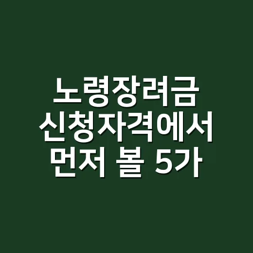 노령장려금 신청자격에서 먼저 볼 5가지 조건 - 요약