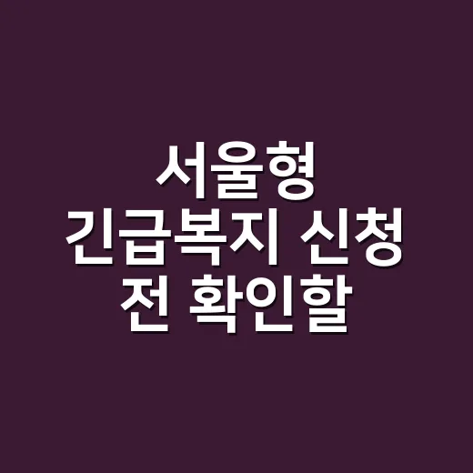 서울형 긴급복지 신청 전 확인할 5가지 조건 - 요약