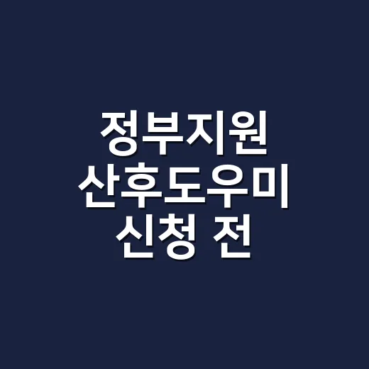 정부지원 산후도우미 신청 전 확인할 5가지 조건 - 요약
