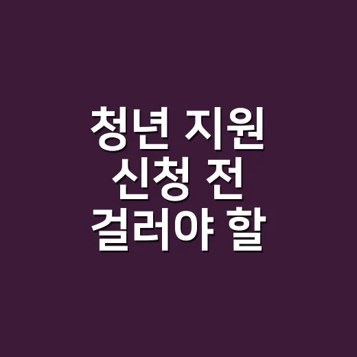 청년 지원 신청 전 걸러야 할 조건 3가지 - 요약