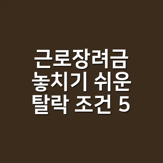 근로장려금 놓치기 쉬운 탈락 조건 5가지 - 요약