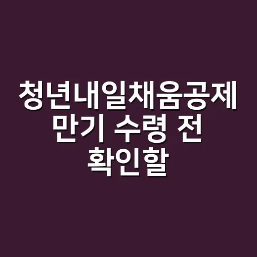 청년내일채움공제 만기 수령 전 확인할 5가지 - 요약