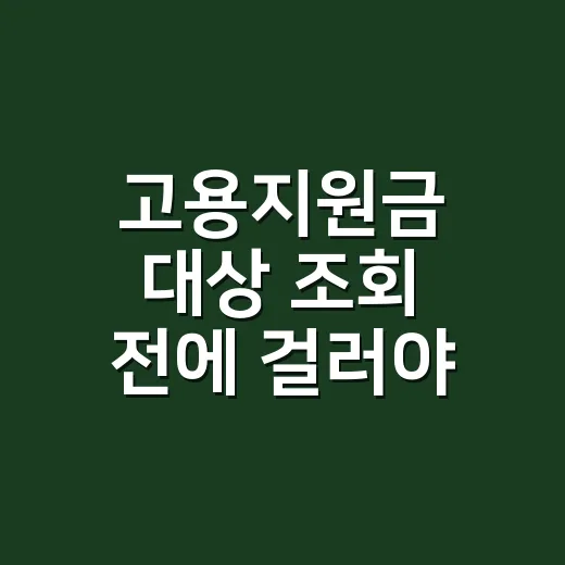 고용지원금 대상 조회 전에 걸러야 할 5가지 - 요약