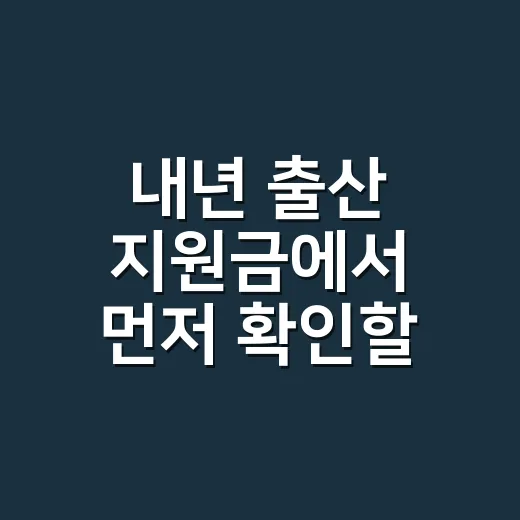 내년 출산 지원금에서 먼저 확인할 4가지 조건 - 요약