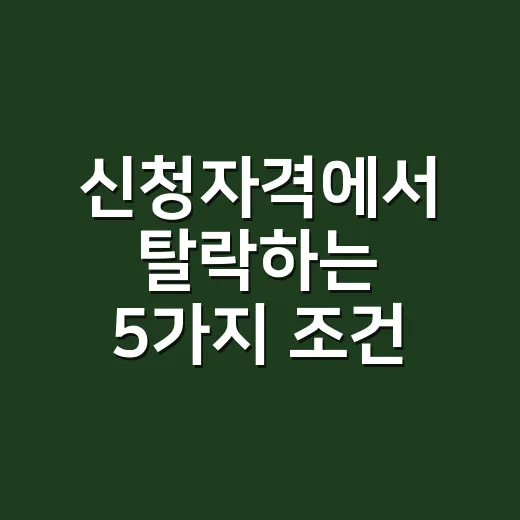 신청자격에서 탈락하는 5가지 조건 - 요약