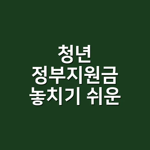 청년 정부지원금 놓치기 쉬운 4가지 조건 - 요약