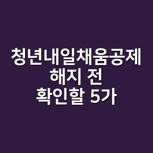 청년내일채움공제 해지 전 확인할 5가지 조건 - 요약