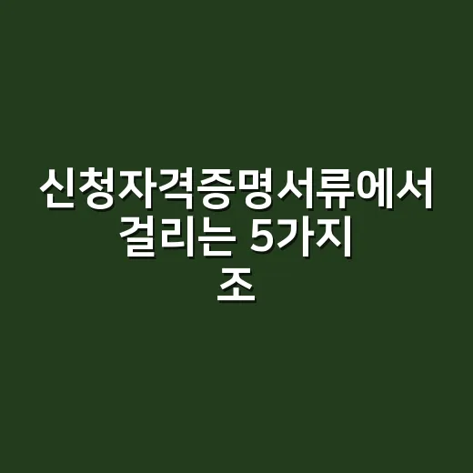 신청자격증명서류에서 걸리는 5가지 조건 - 요약