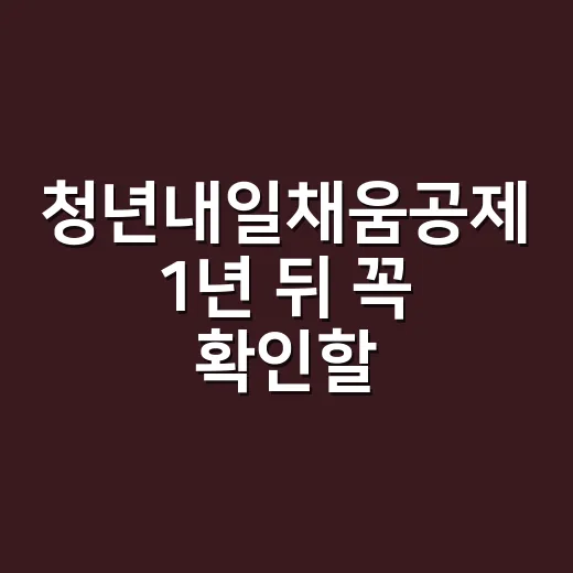 청년내일채움공제 1년 뒤 꼭 확인할 3가지 - 요약