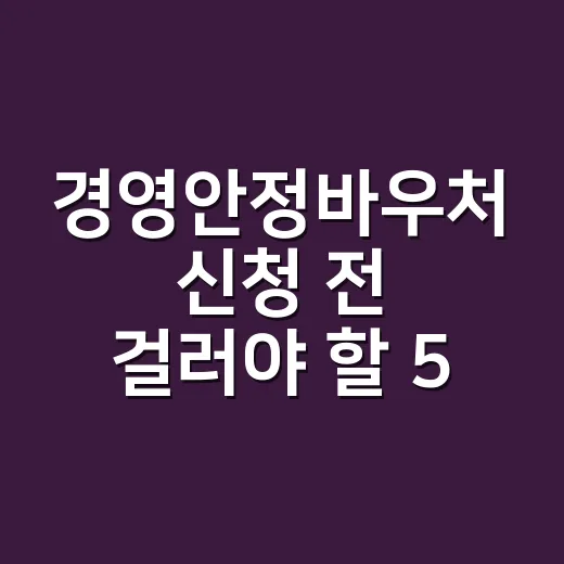 경영안정바우처 신청 전 걸러야 할 5가지 조건 - 요약