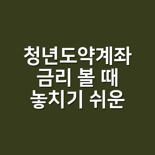 청년도약계좌 금리 볼 때 놓치기 쉬운 5가지 - 요약