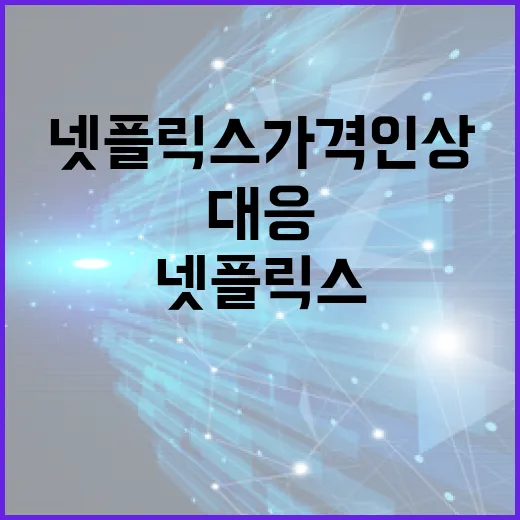 넷플릭스 가격 인상, 어떻게 대응할까? - 요약