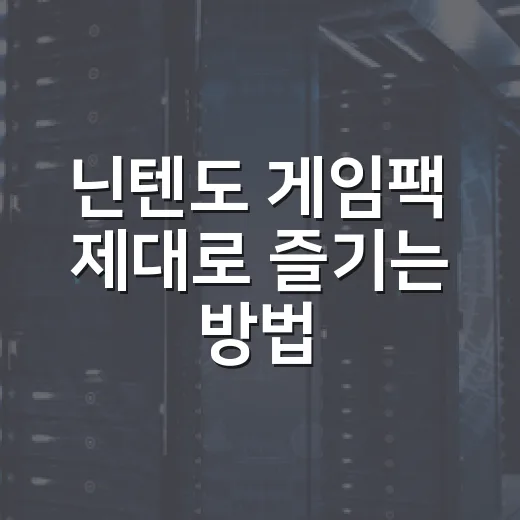 닌텐도 게임팩 제대로 즐기는 방법 - 요약